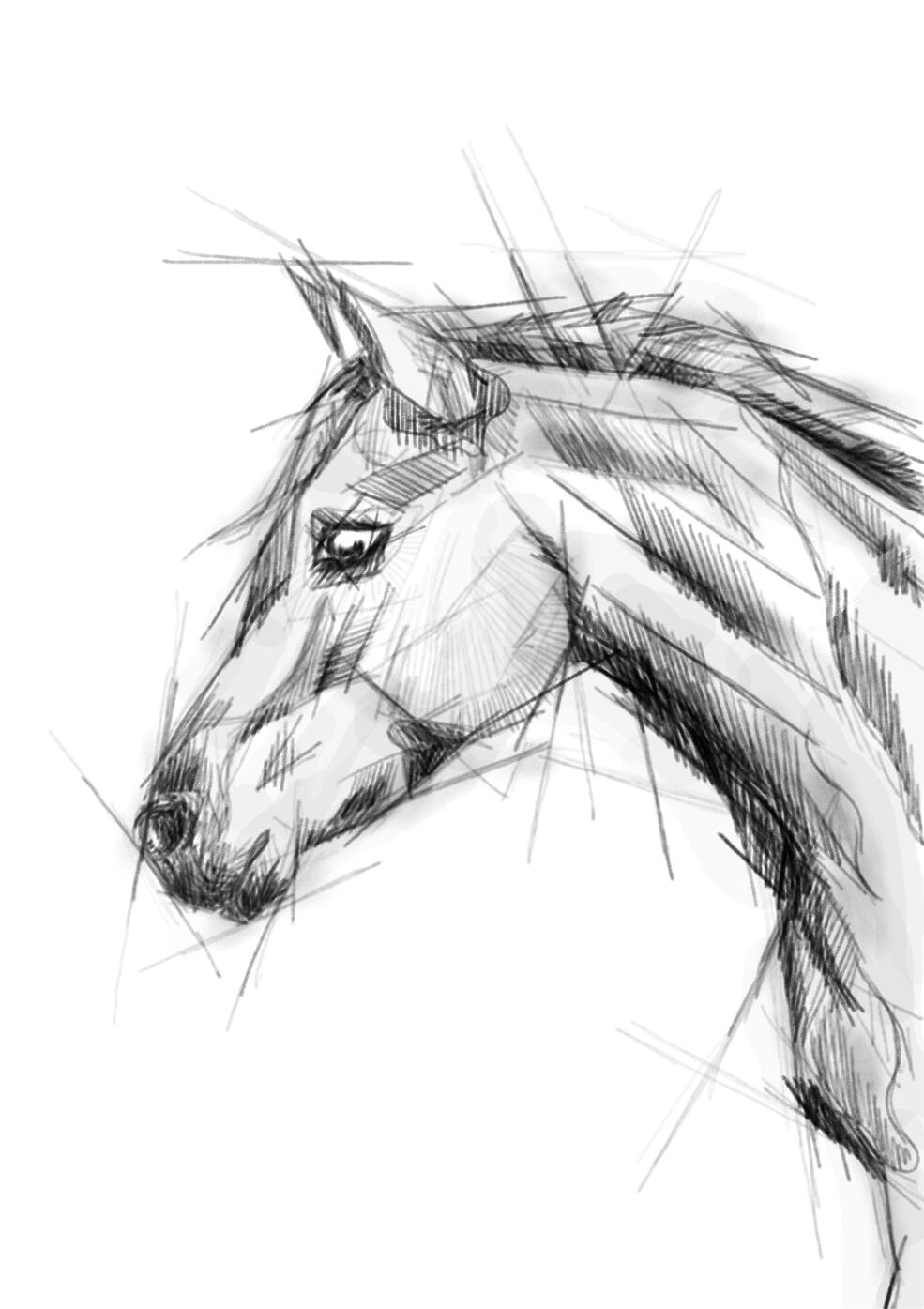Hästhuvud ritat med blyersteffekt i Procreate.